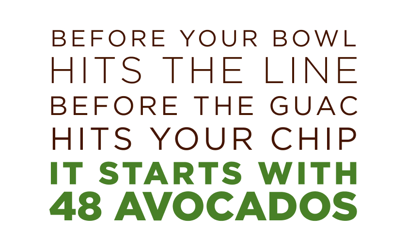 before your bowl hits the line before the guac hits your chip it starts with 48 avocados