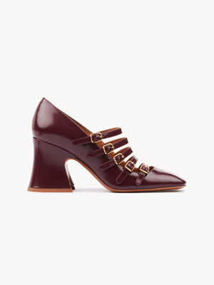 Janis pump
