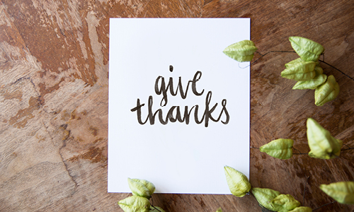 Offering Hope and Nourishment for Thanksgiving