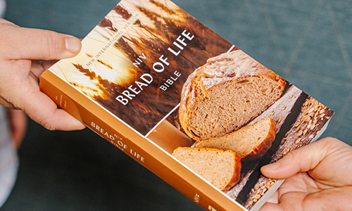 NIV Bread of Life Outreach Bible