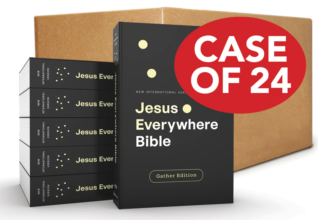 NIV, Jesus Everywhere,  Case of 24