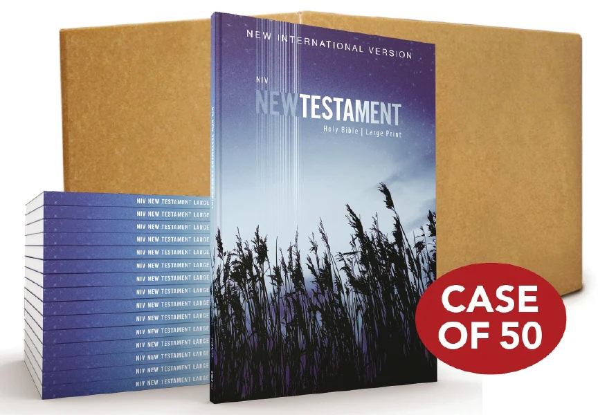 NIV, Outreach New Testament