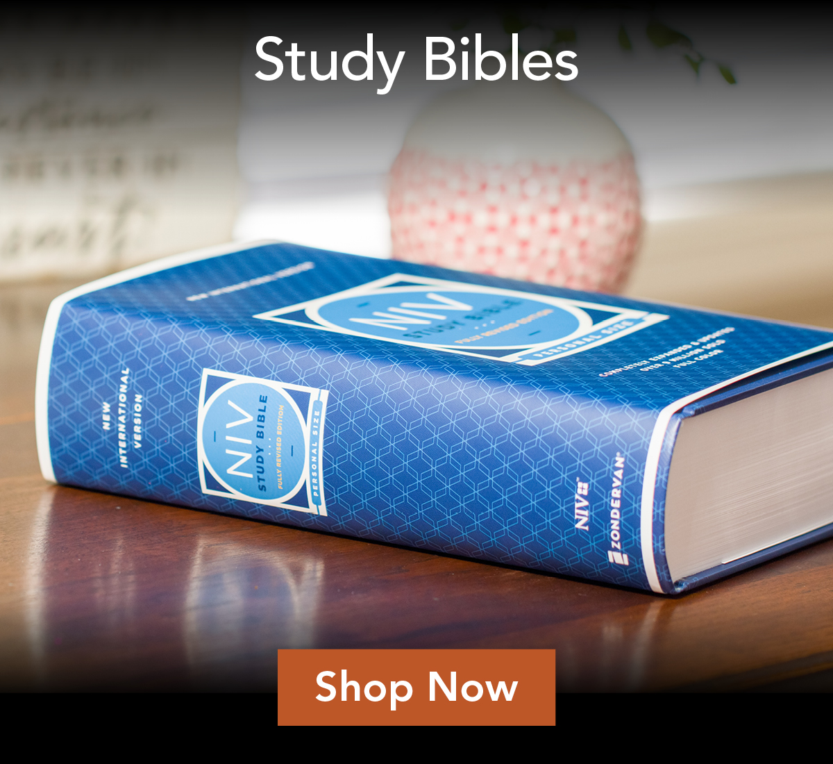 Study bIbles