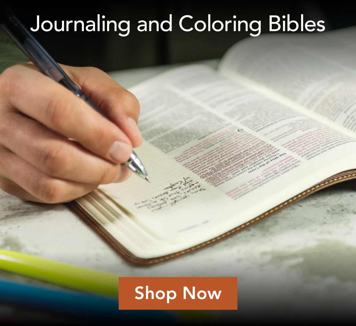 Journaling Bibles