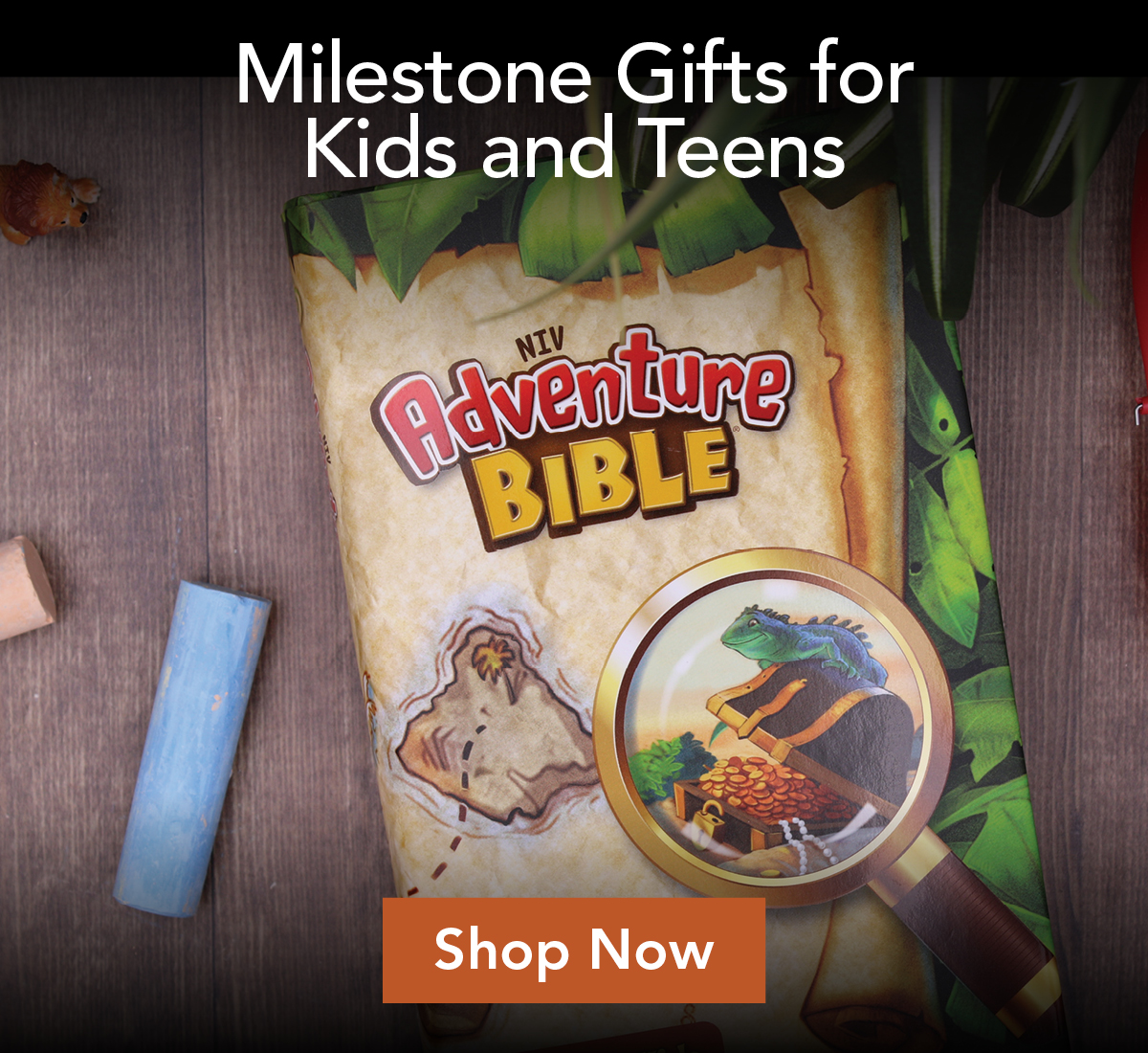 Milestone Bibles