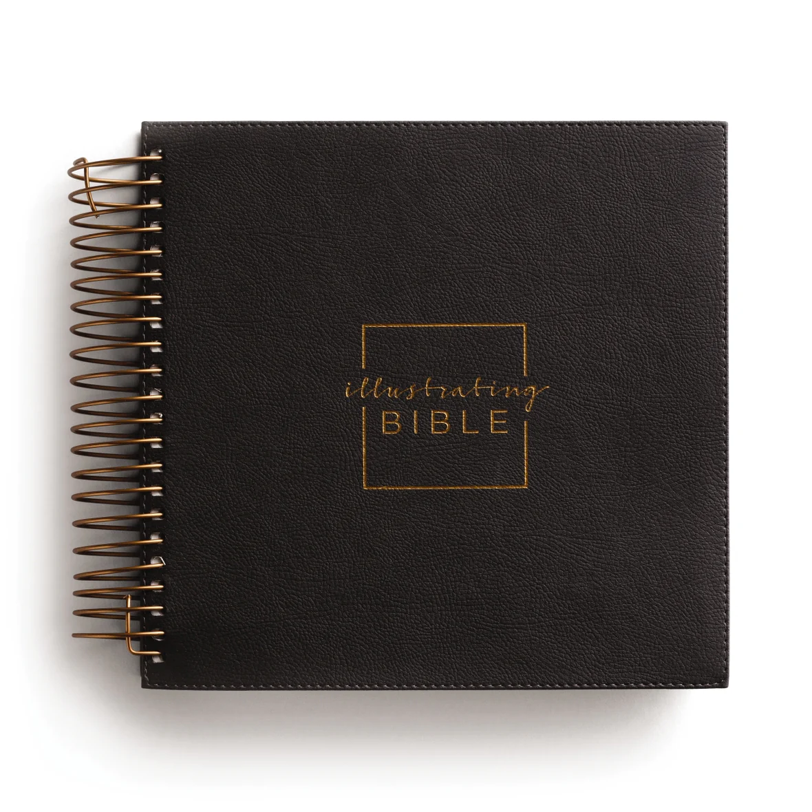 NIV, Spiral-bound Illustrating Bible, Leathersoft Spiral, Dark Gray