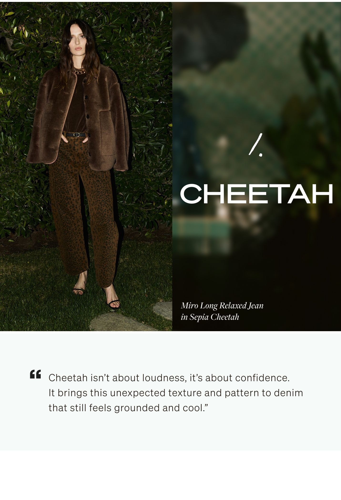Shop Cheetah