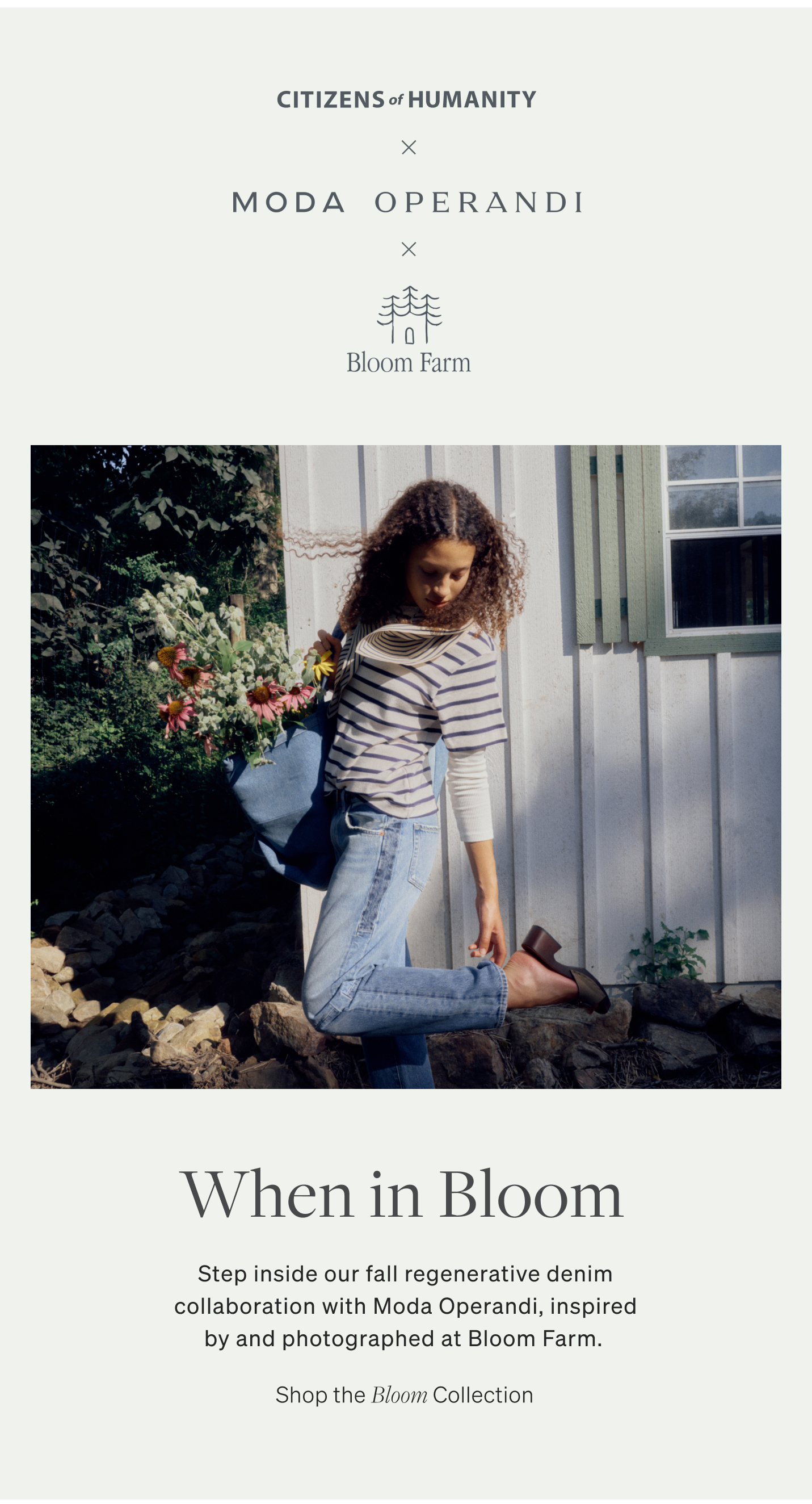 Shop The Bloom Collection