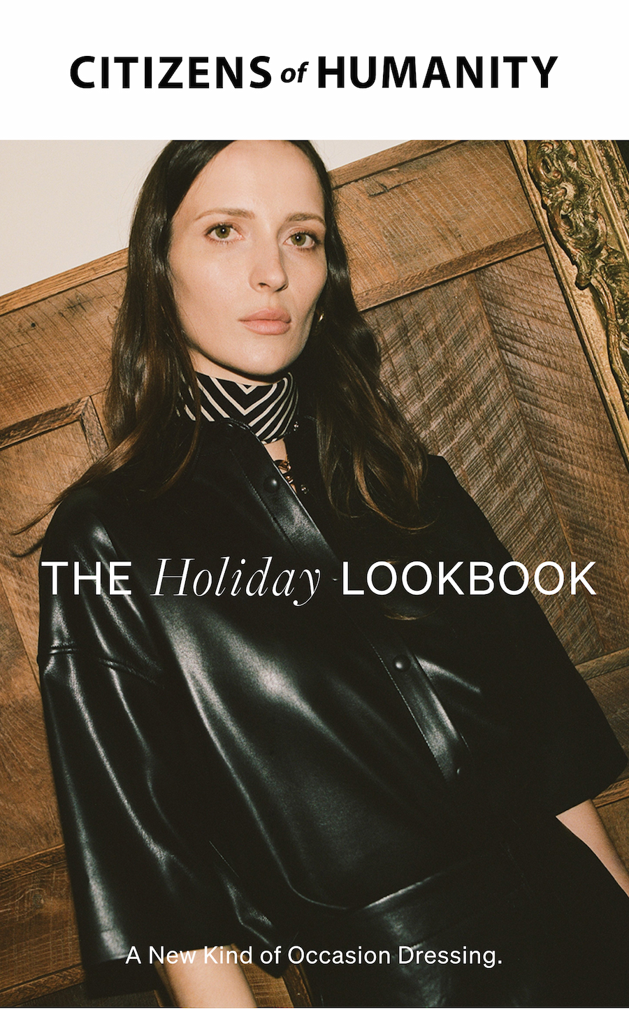 The Holiday Lookbook