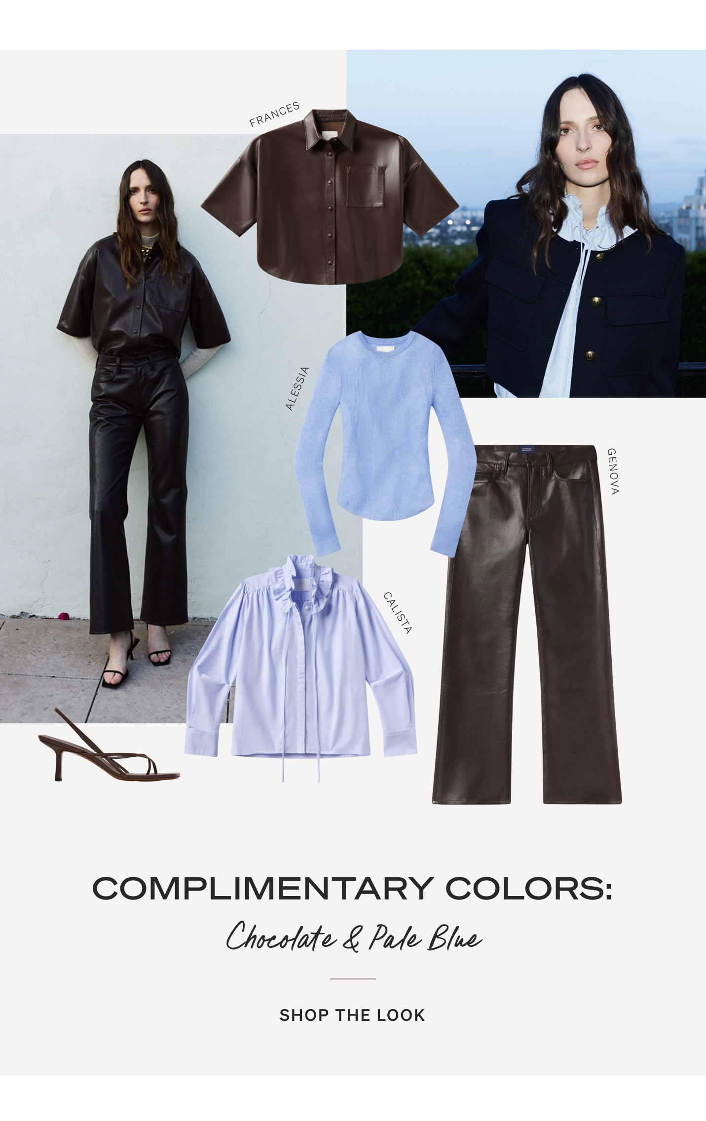 Complimentary Colors: Chocolate & Pale Blue