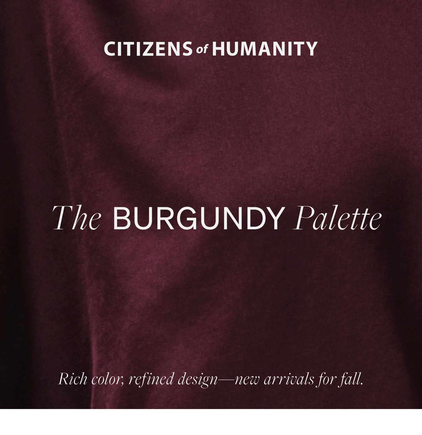 The Burgundy Palette