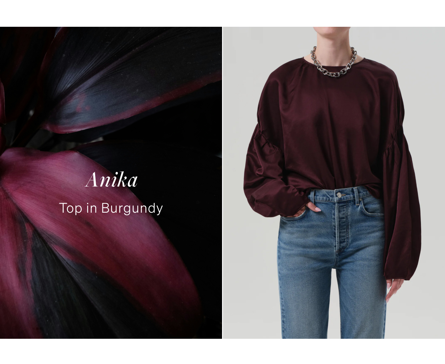 Shop Anika Top in Burgundy