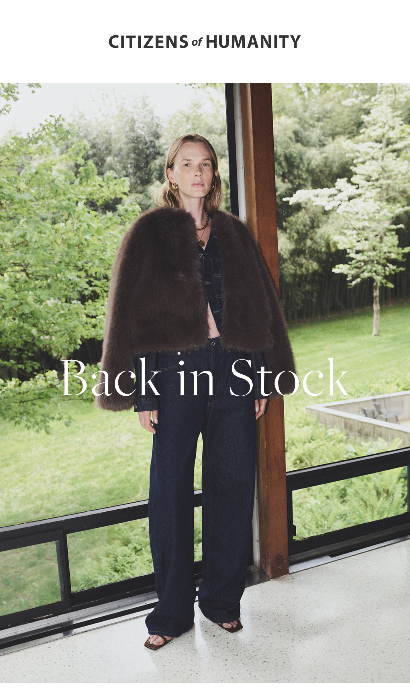 Back in Stock