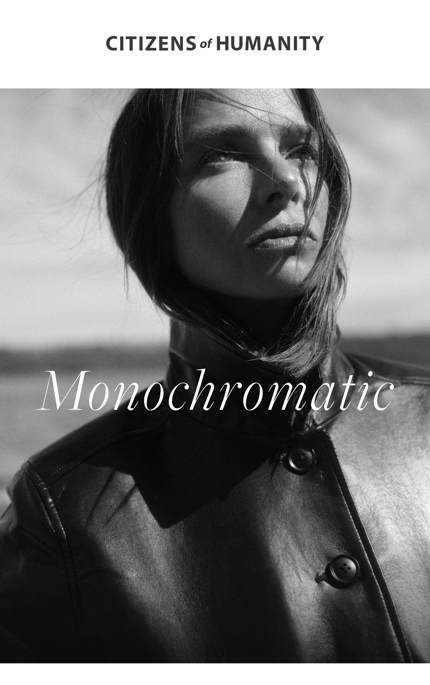 The Monochromatic Edit