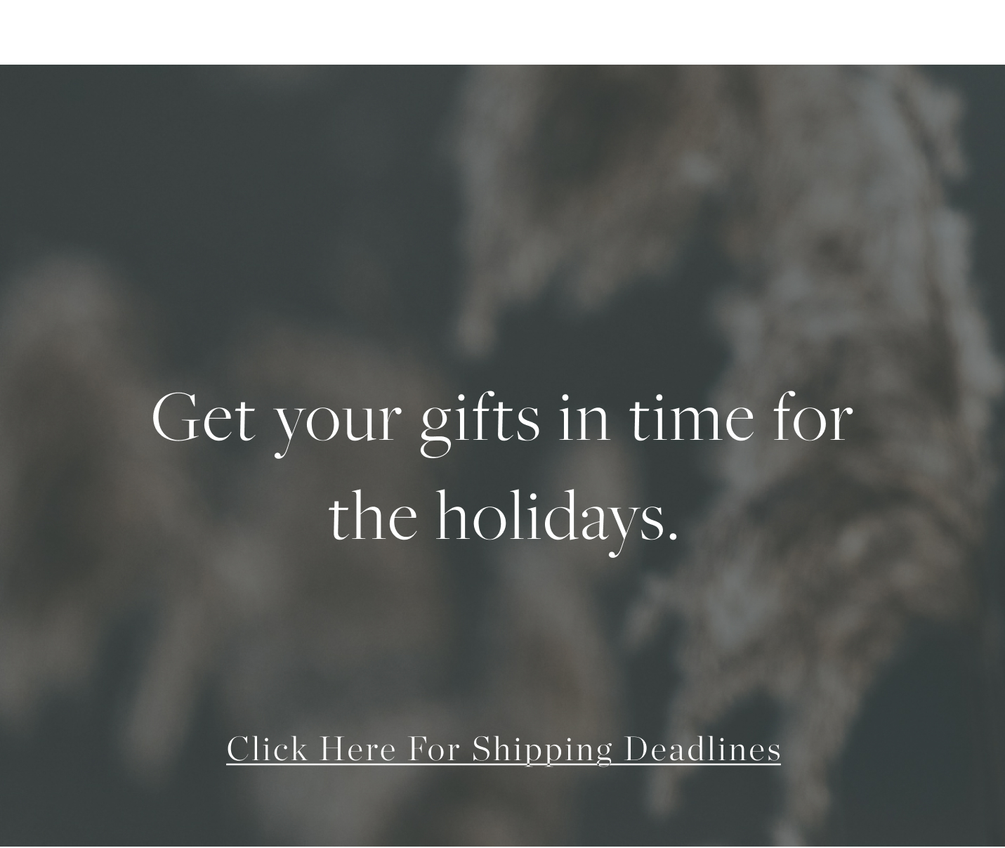 Get Your gifts in time for the holidays - Click Here For Shipping Deadlines