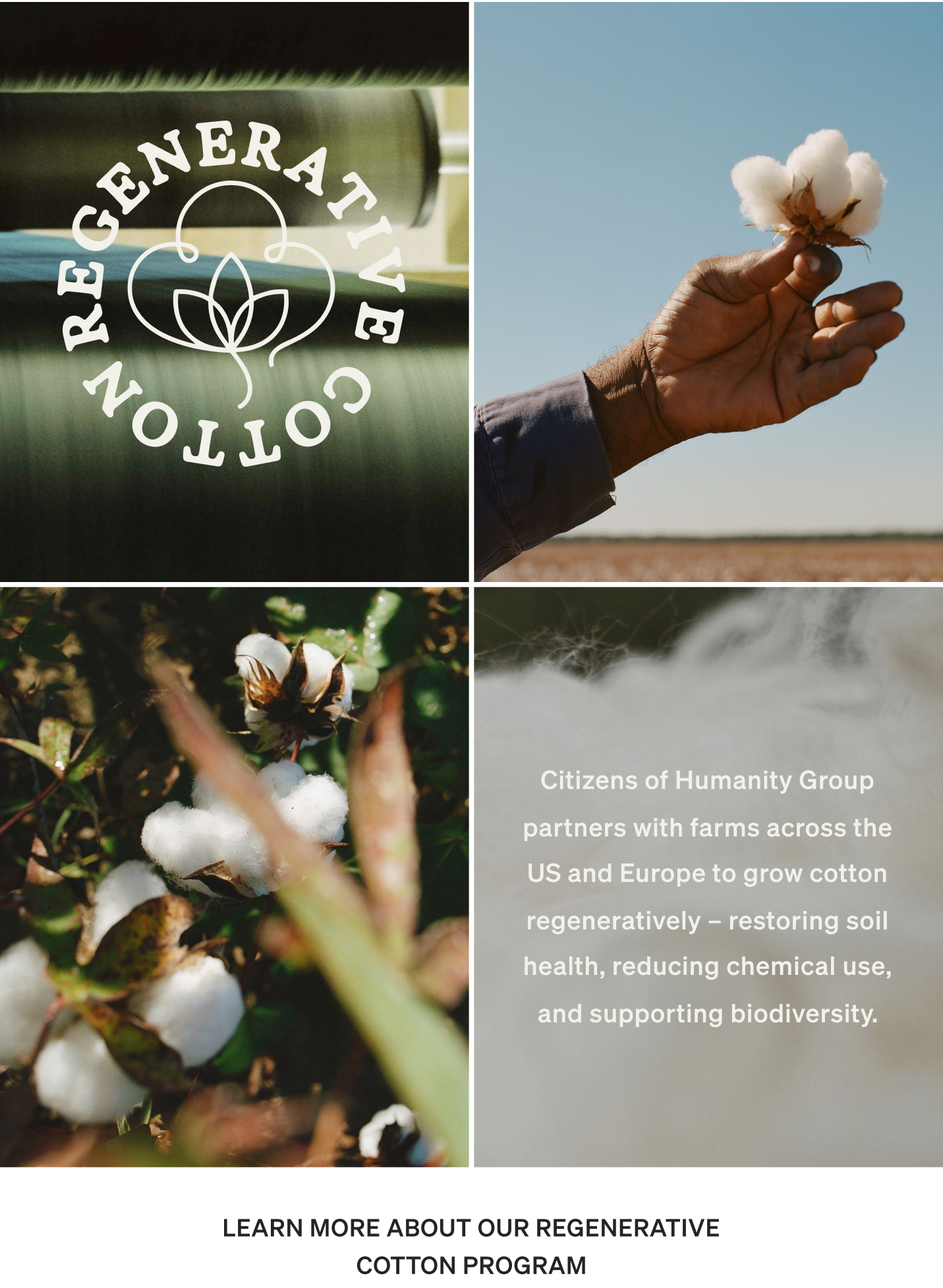 Learn More About our Regenerative Cotton Program