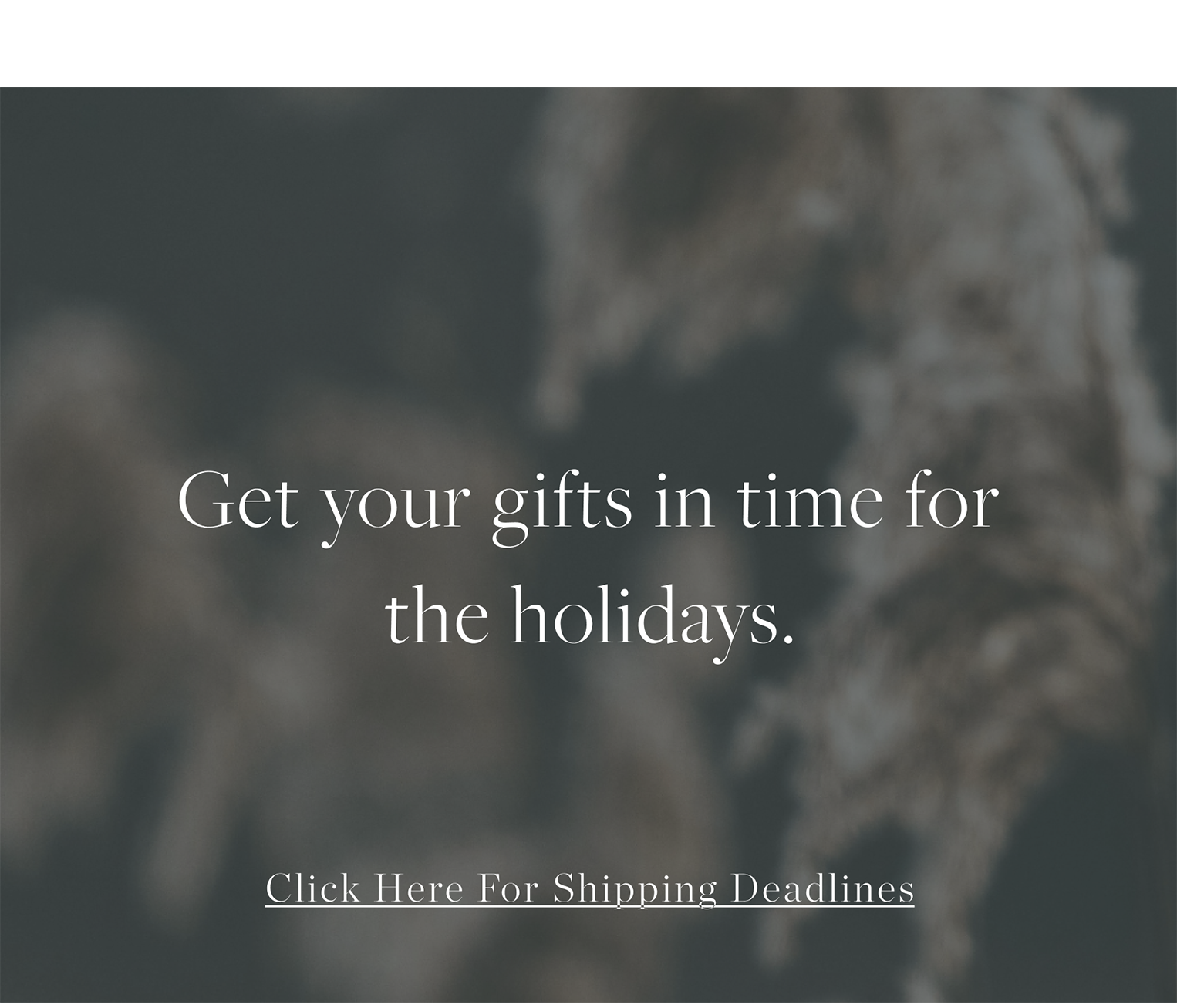 Click Here For Shipping Deadlines