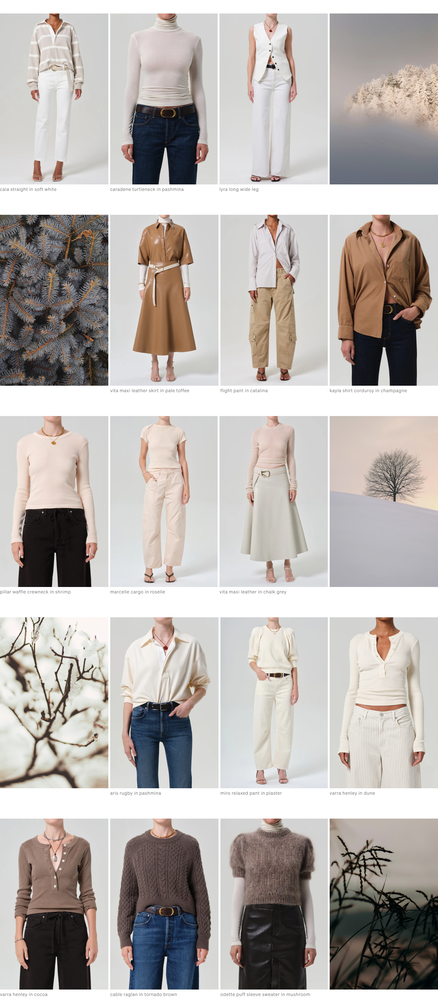 shop winter hues