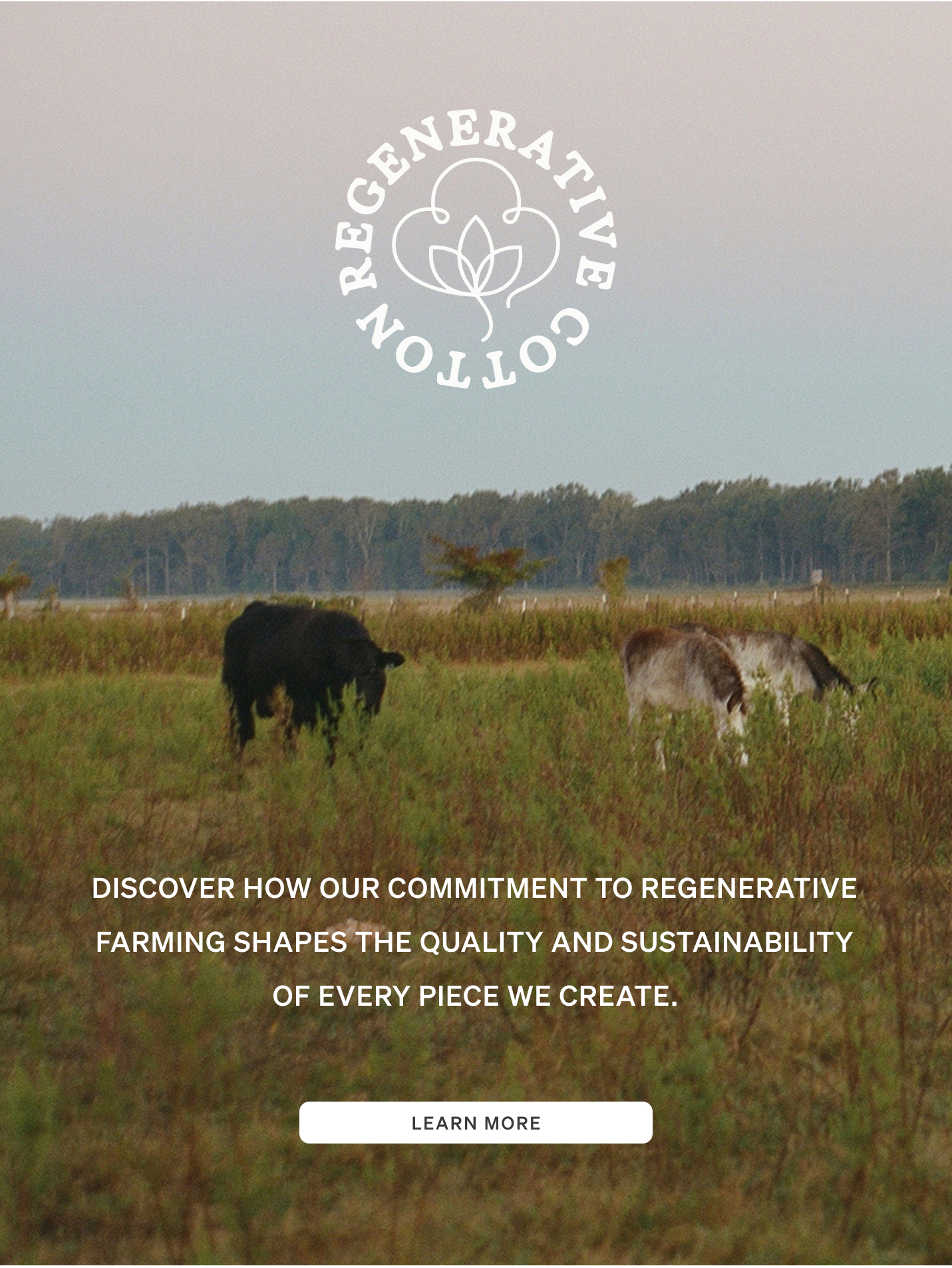 Learn more about Regenerative Cotton Program