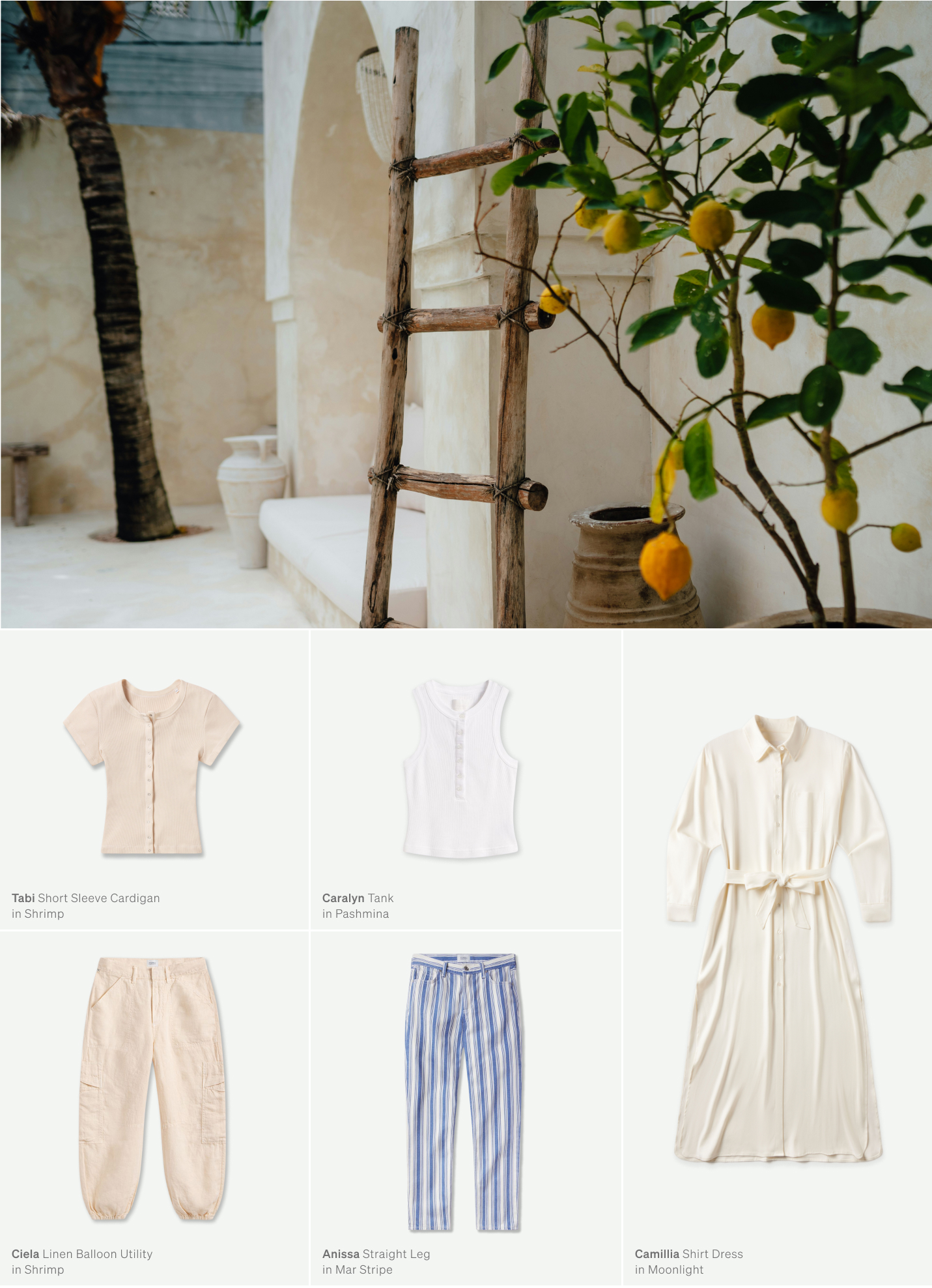 Shop the Summer Collection