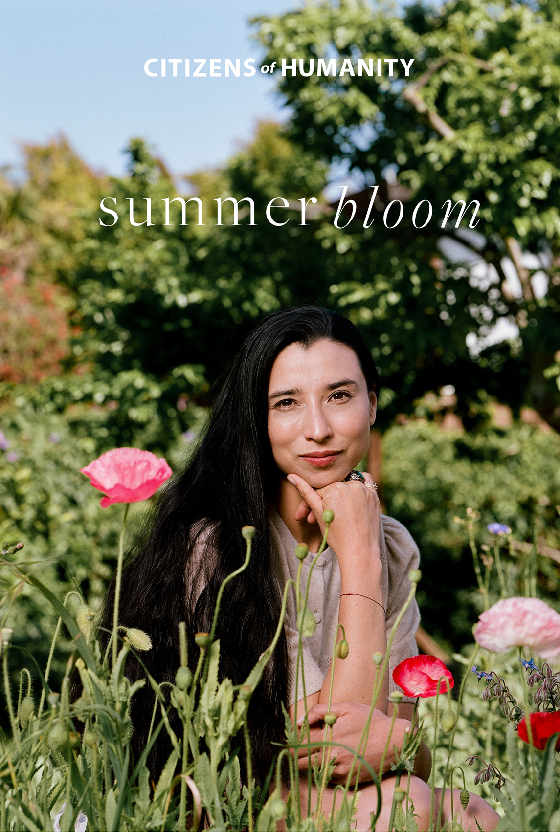 Summer in Bloom