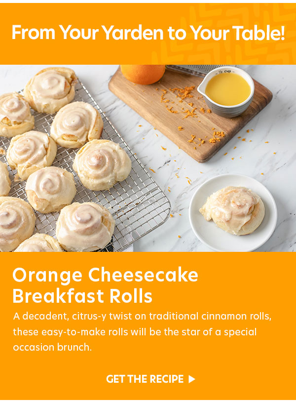 Orange Cheesecake Breakfast Rolls