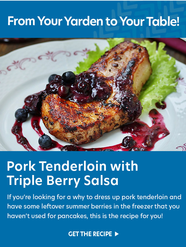 Pork Tenderloin with Triple Berry Salsa