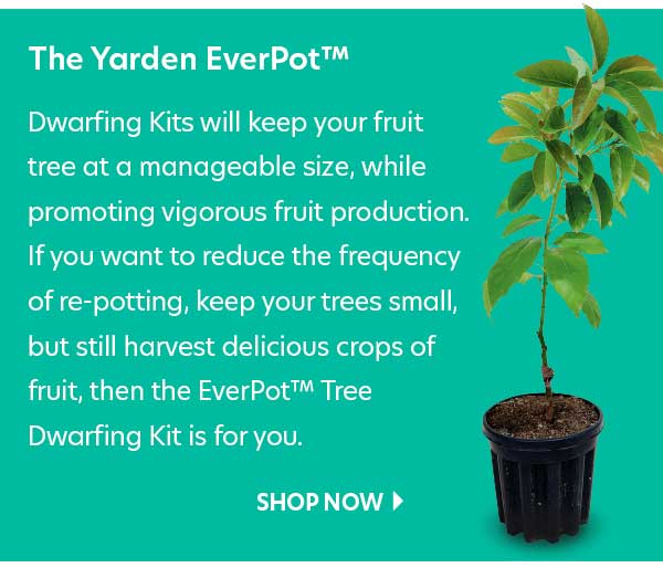 Everpot