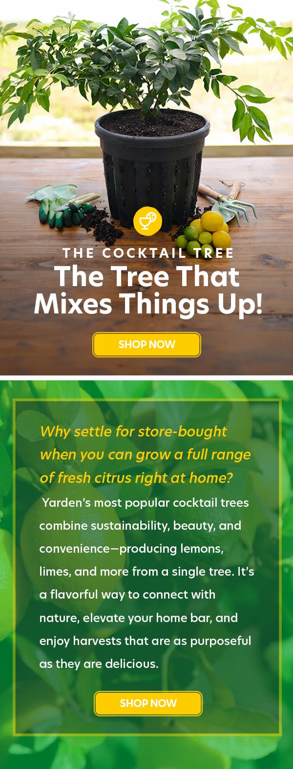 Cocktail Trees