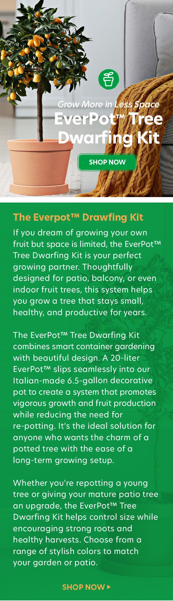 Yarden EverPot - Grow Trees Indoors