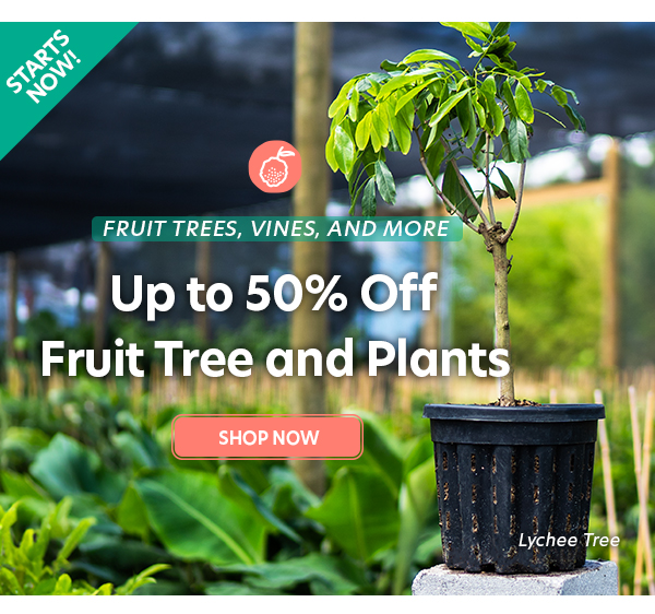 Up to 50% Off