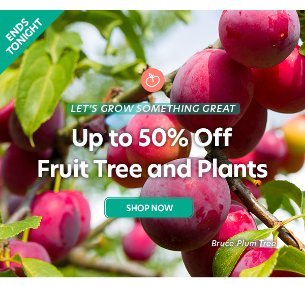 Up to 50% Off