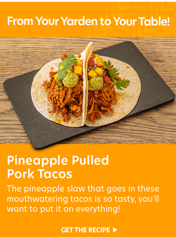 From Your Yarden to Your Table: Pineapple Pulled Pork Tacos