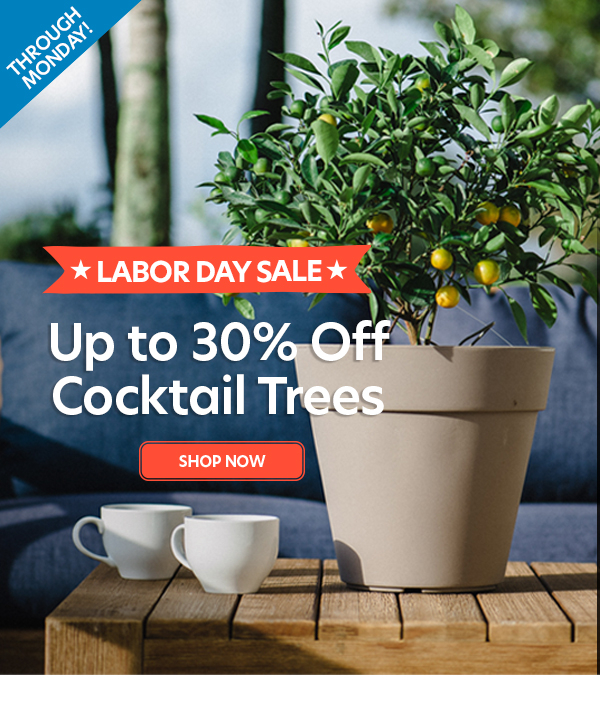 Cocktail Trees up to 30%