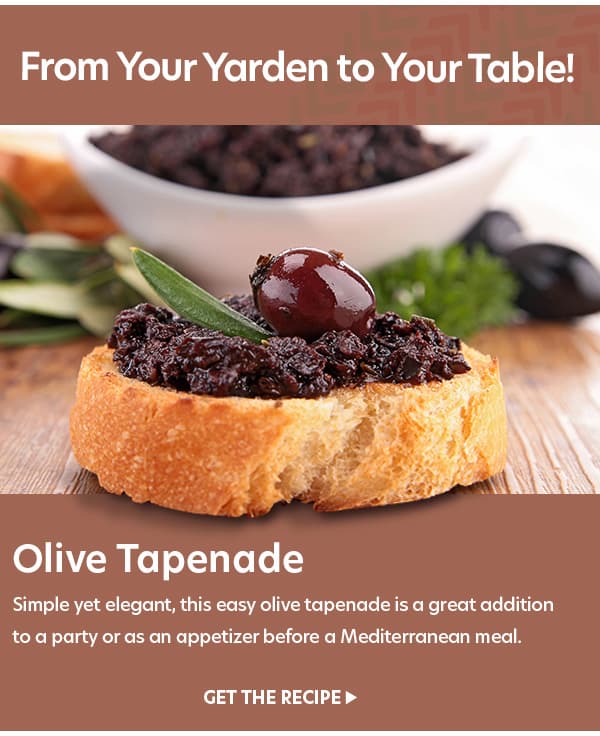 Olive Tapenade