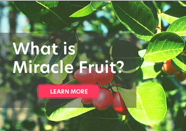 What is Miracle Fruit?