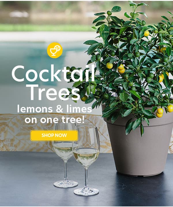 Cocktail Trees