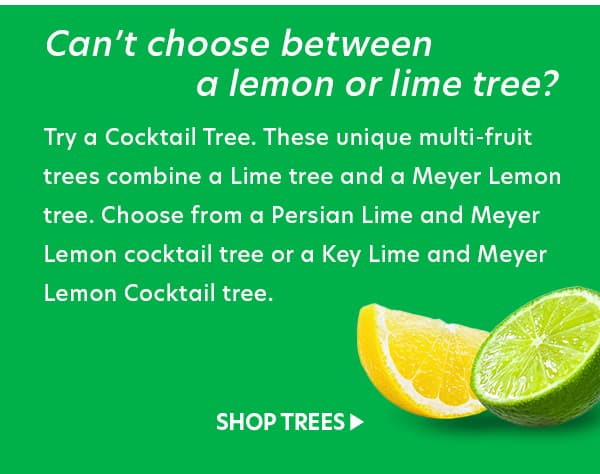 Cocktail Trees