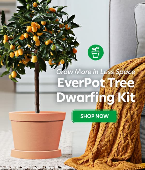 Everpot™ Dwarfing Kit