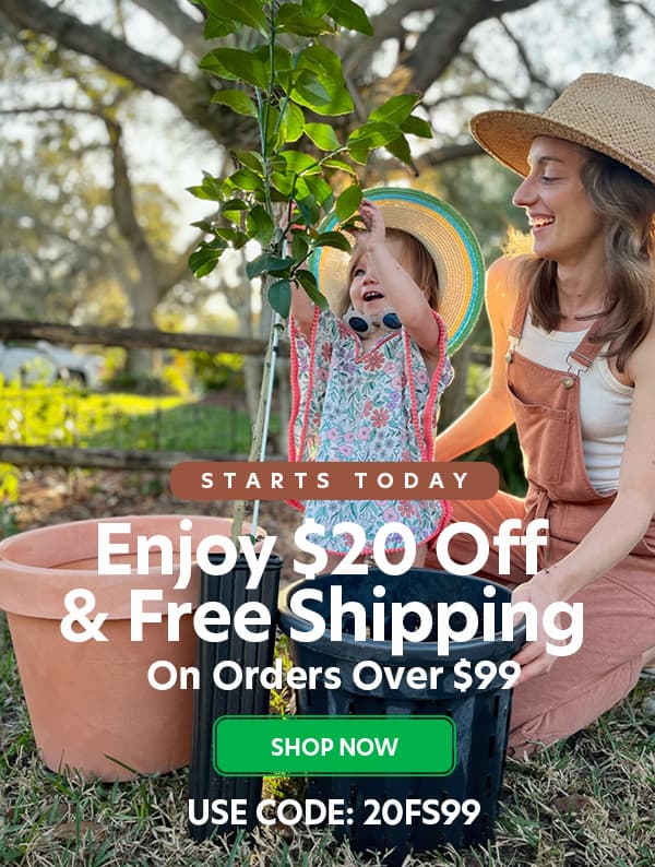 $20 off and free shipping on orders over $99