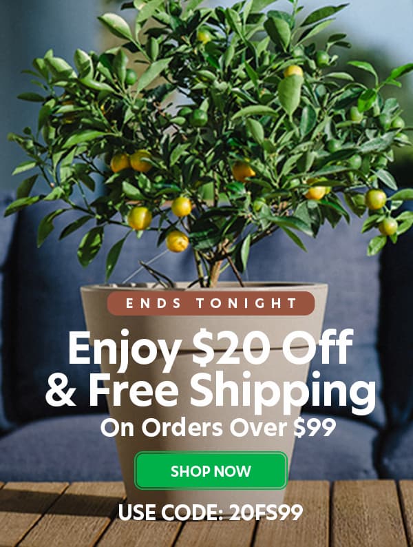 $20 off and free shipping on orders over $99
