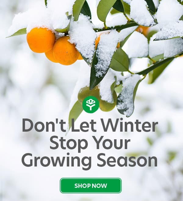 $20 off and free shipping on orders over $99