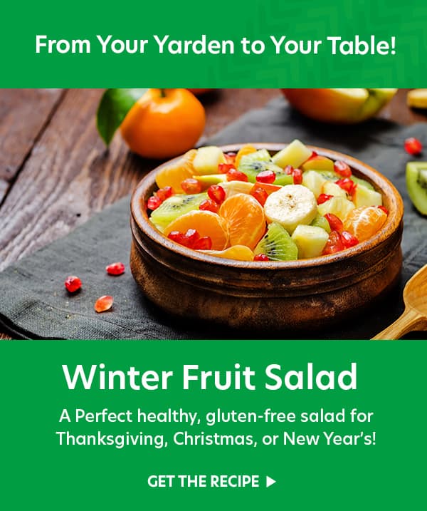 winter fruit salad