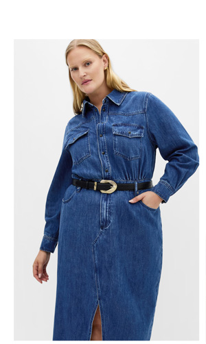 Shop the Elara Denim Dress