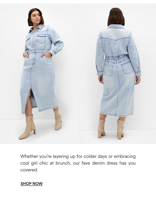 Shop the Elara Denim Dress