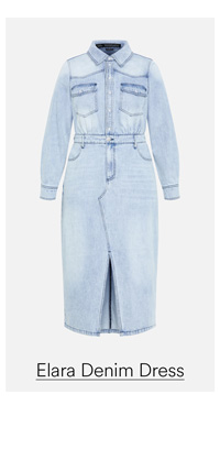 Shop the Elara Denim Dress