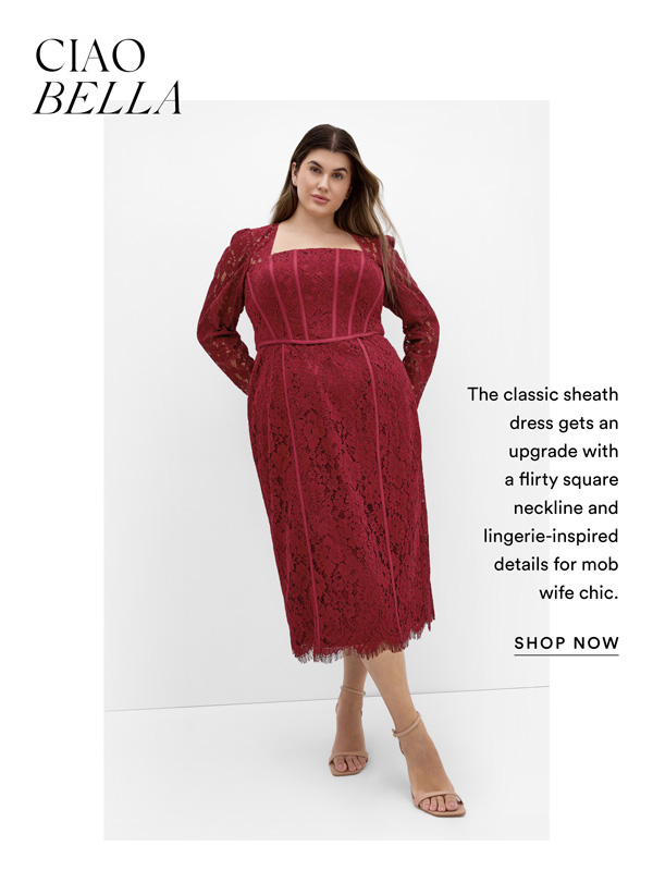 Shop the Valentine Lace Dress
