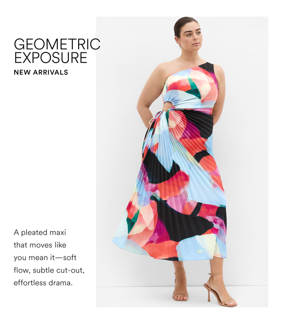 Shop the Aliza Aspect Print Pleat Maxi Dress