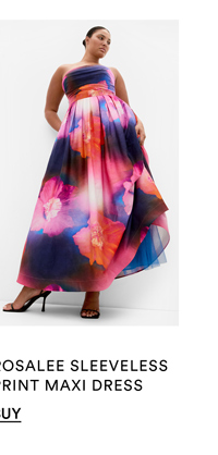 Shop the Rosalee Sleeveless Print Maxi Dress