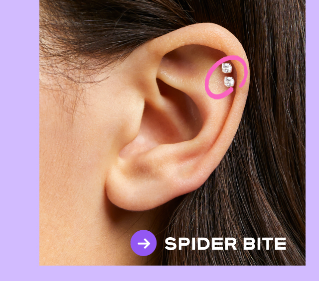Spider Bite